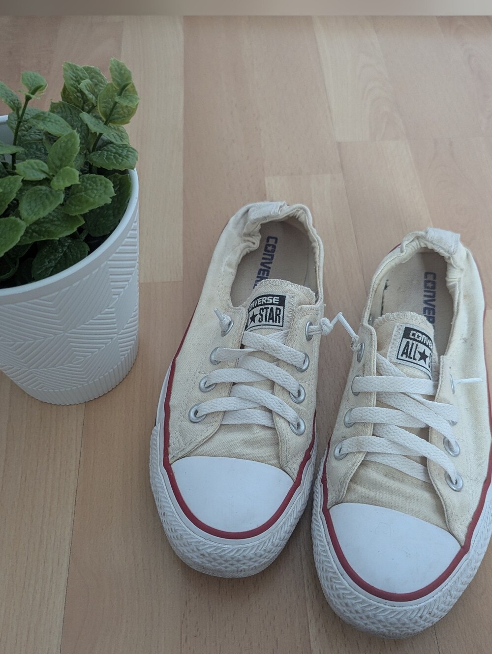 Women's Converse Low Top Canvas Sneakers x1